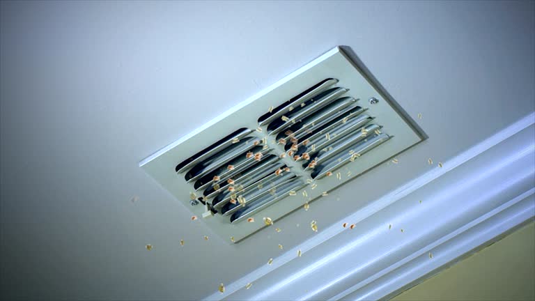 Best HVAC Maintenance and Cleaning  in Poplar Plains, CT