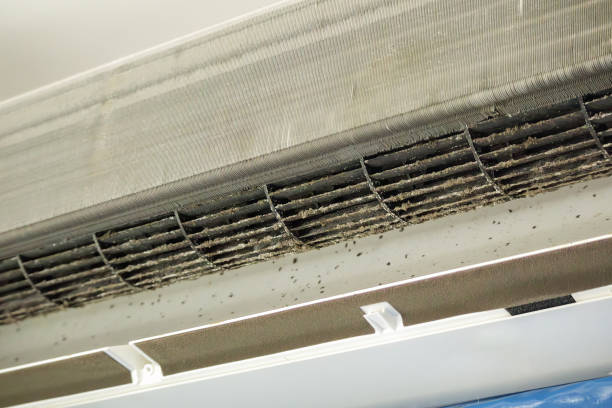 Best Air Duct Cleaning Near Me  in Poplar Plains, CT