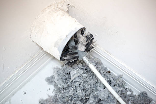 Best Home Air Vent Cleaning  in Poplar Plains, CT